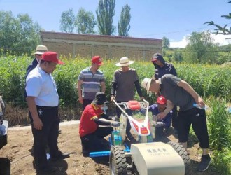 康樂開展電動牽引平臺水果玉米鋪膜、點播試驗